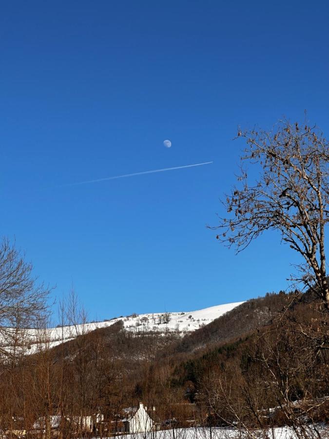 Belle Maison De Ville Au Coeur Du Village De Montagne วิค-ซูร์-แซร์ ภายนอก รูปภาพ